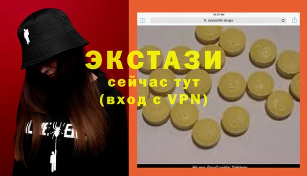 молекула духа Новозыбков
