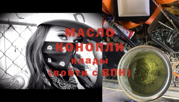 молекула духа Новозыбков