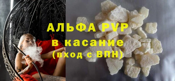 молекула духа Новозыбков