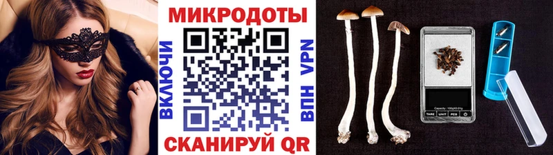 Псилоцибиновые грибы Cubensis Кемь