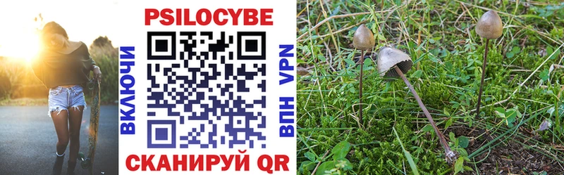 закладка  Кемь  Галлюциногенные грибы Magic Shrooms 